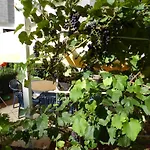 Leitgebhof 게스트하우스 인스브루크