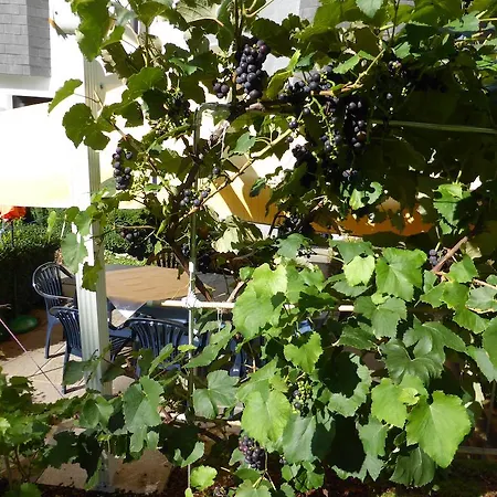 Leitgebhof Konukevi İnnsbruck